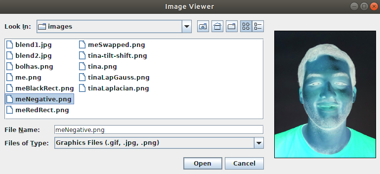 Screenshot of the Image Viewer application showing our next application. In the image, there's a negative image of my face.