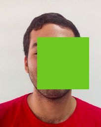 Picture of andre's face with a rectangle kind of green in front. This green is the random color from the text.